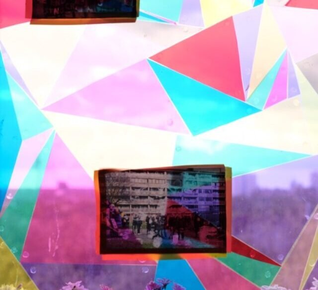cropped-Picture-4.jpg