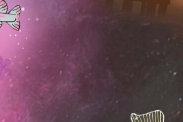 Sayeeda Bacchus Rosebank_IG Square